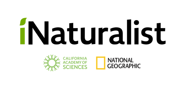 Inaturalıst- Bitki ve hayvan haritalarını inceleyin